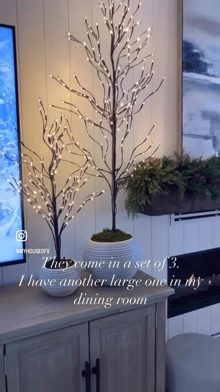 These sell out fast every year so get ahead of the rush and snag them while you can!  I have the 3 pack. The tallest tree isn’t pictured in this video. :) 