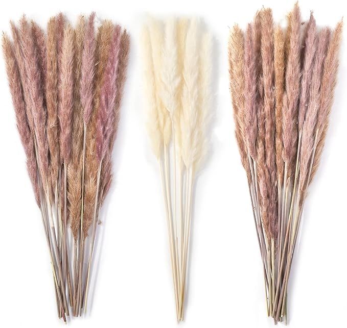 DomeStar Pampas Grass, 36PCS Natural Dried Pampas Grass 17Inches Reed Plumes for Wedding Boho Flo... | Amazon (US)
