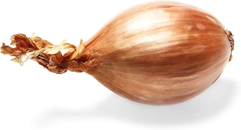 Onion Shallot Organic, 1 Each | Amazon (US)