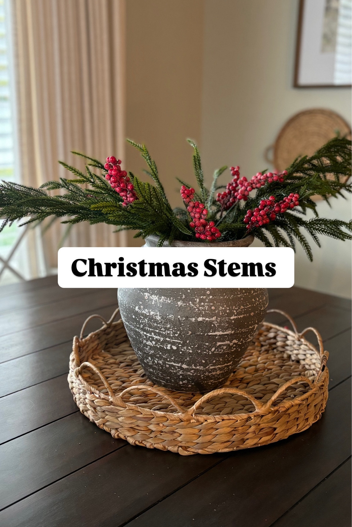 Christmas Stems😍🎄

#LTKGiftGuide #LTKSeasonal #LTKHoliday