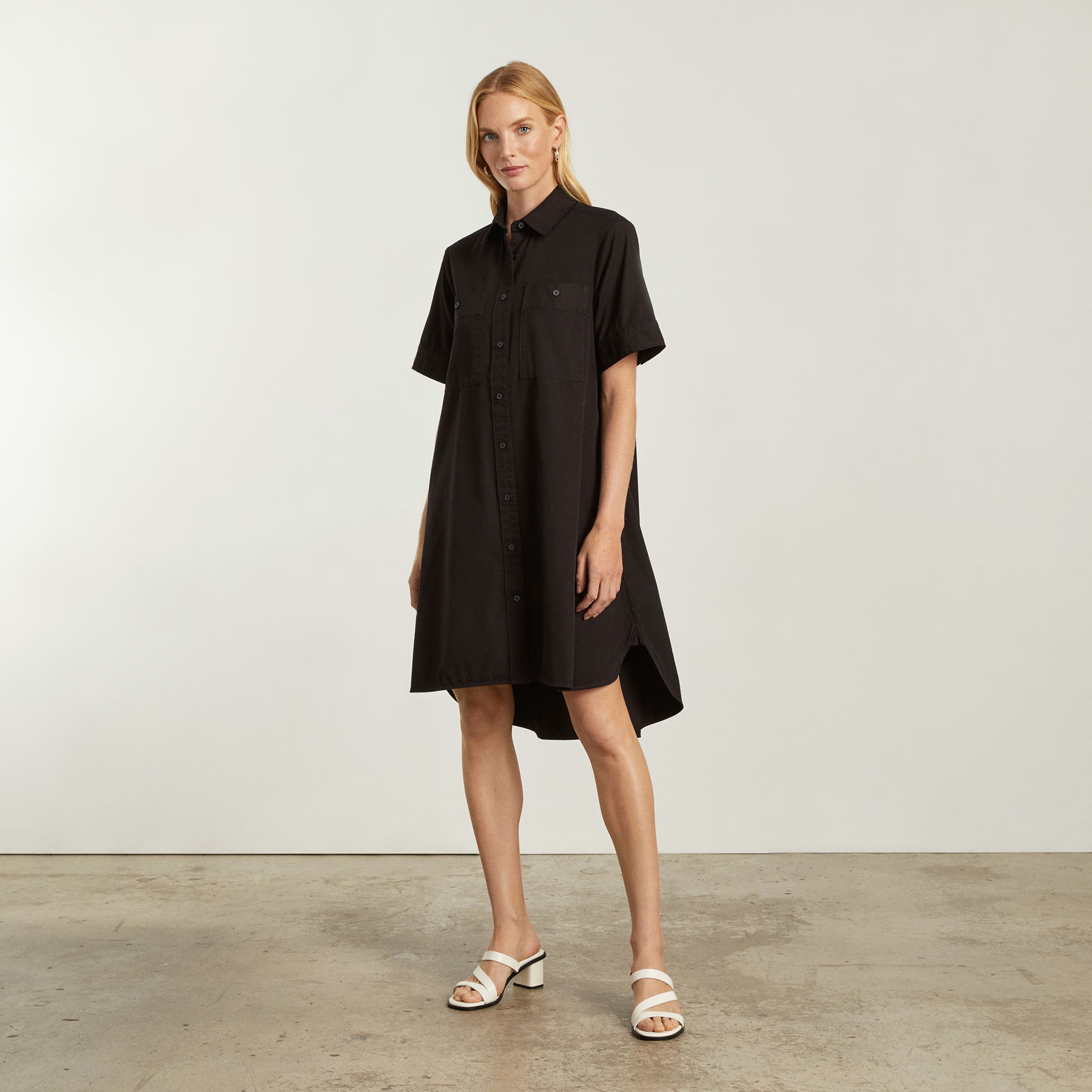 The Daytripper Shirtdress | Everlane