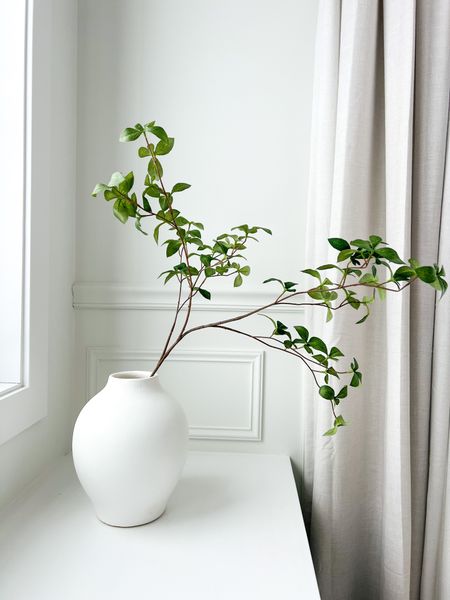 Simple yet beautiful 🌿

Target vase & stem (under $6) 

White vase, spring decor, living room decor, greenery, stems, 

#LTKunder50 #LTKstyletip #LTKhome
