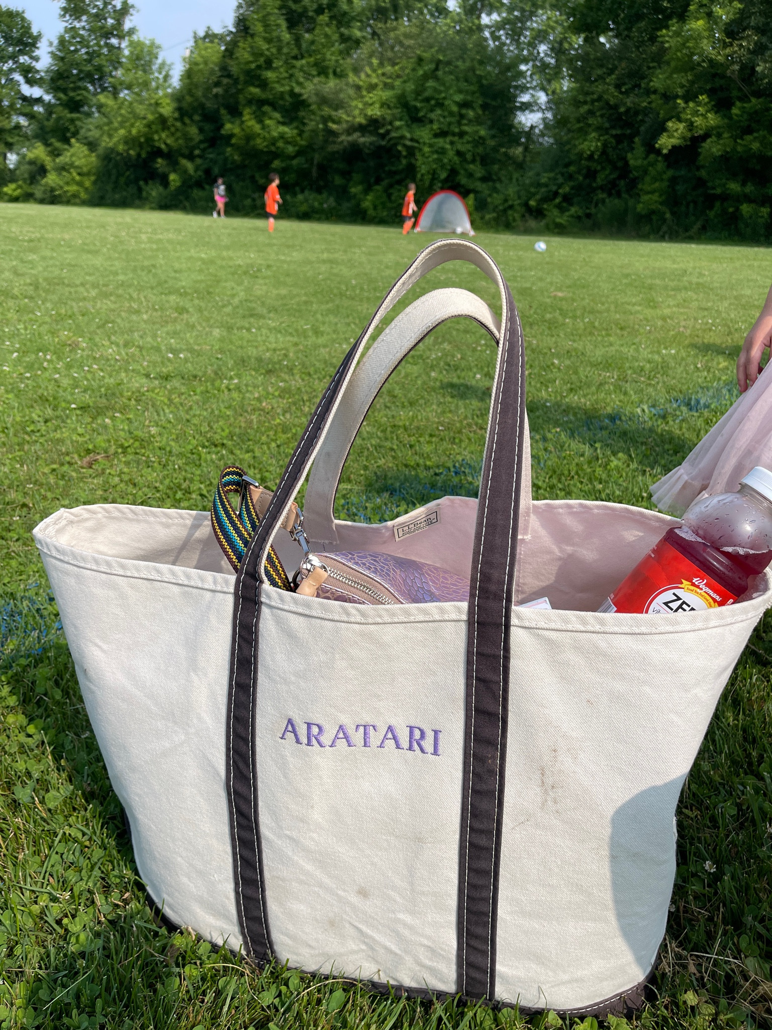 The best bag for carrying all the things to sports, the beach/pool, travel, etc



#LTKTravel #LTKItBag #LTKSeasonal