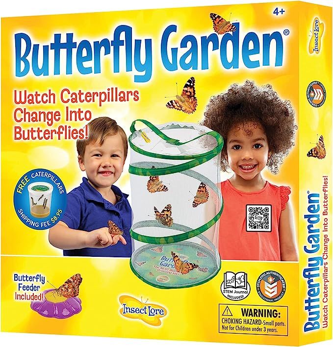 Insect Lore - Butterfly Growing Kit - With Voucher to Redeem Caterpillars Later | Amazon (US)