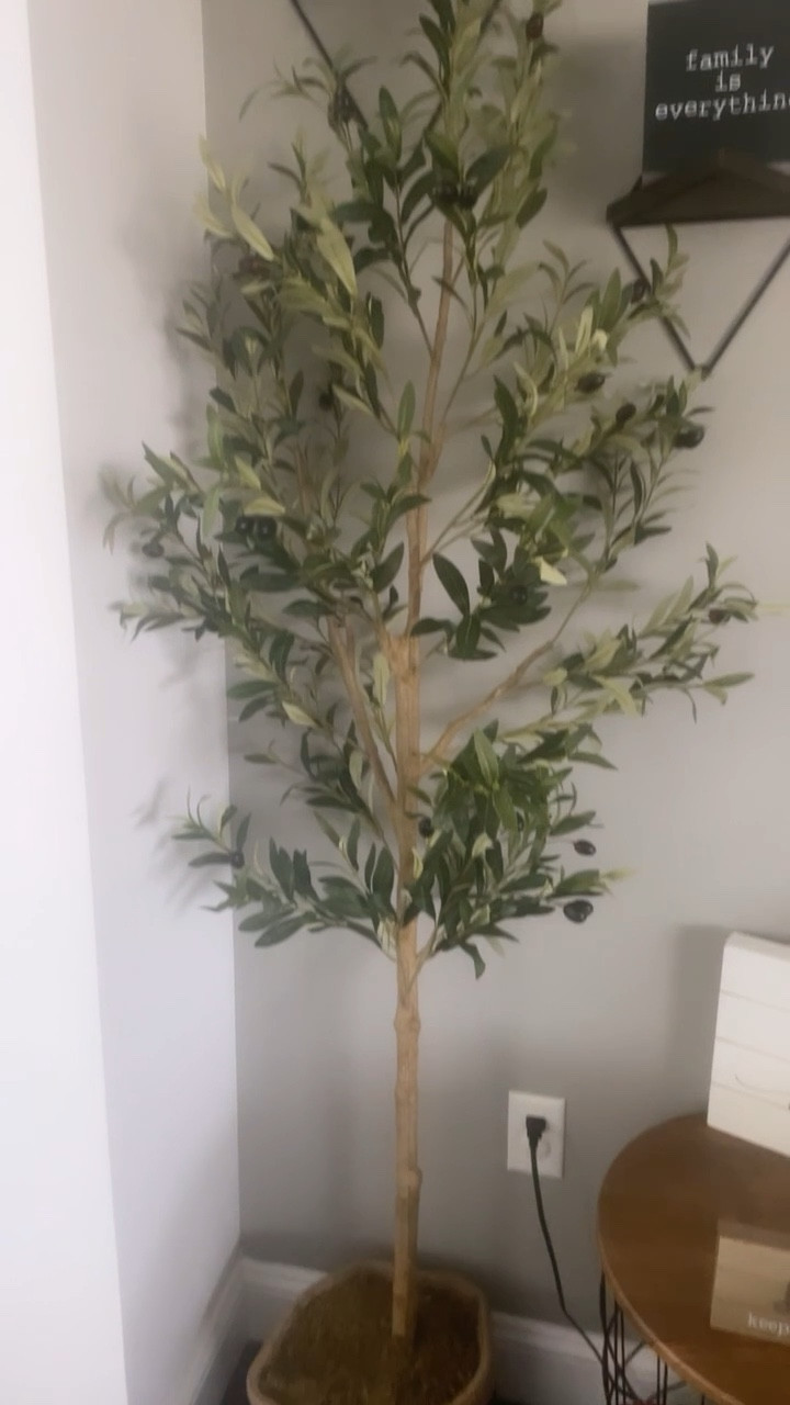 House decor! Faux Olive Tree adds such a good touch to your home! 

#LTKVideo #LTKsalealert #LTKhome