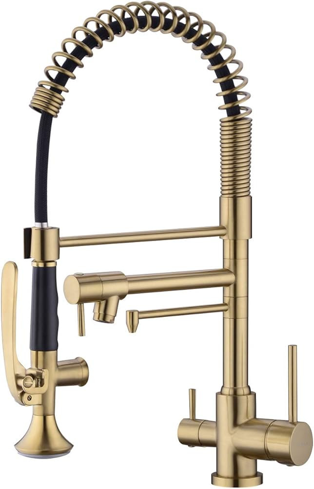 Avola Kitchen Faucet, Drinking Water Kitchen Sink Faucet, Handsfree Design Kitchen Faucet with Sp... | Amazon (CA)