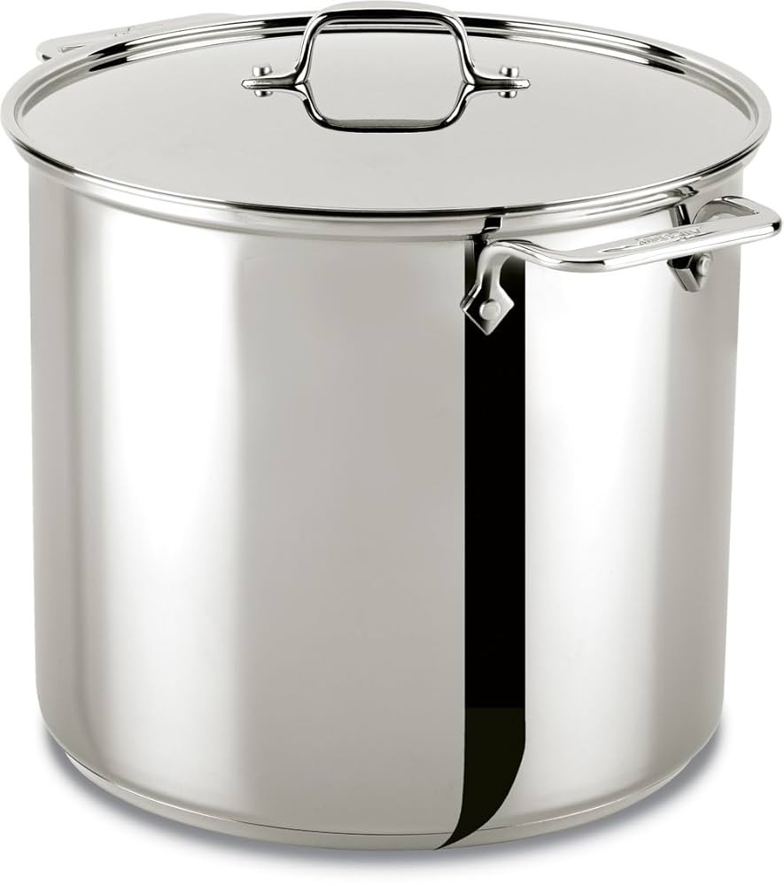 All-Clad 59916 Stainless Steel Dishwasher Safe Stockpot Cookware, 16-Quart, Silver | Amazon (US)