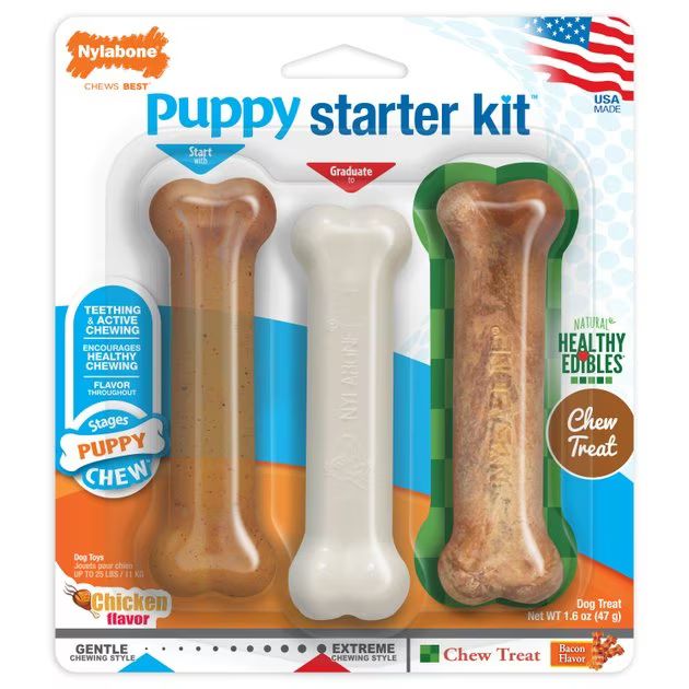 Nylabone Puppy Chew Starter Kit Triple Pack Puppy Chew Toy | Chewy.com