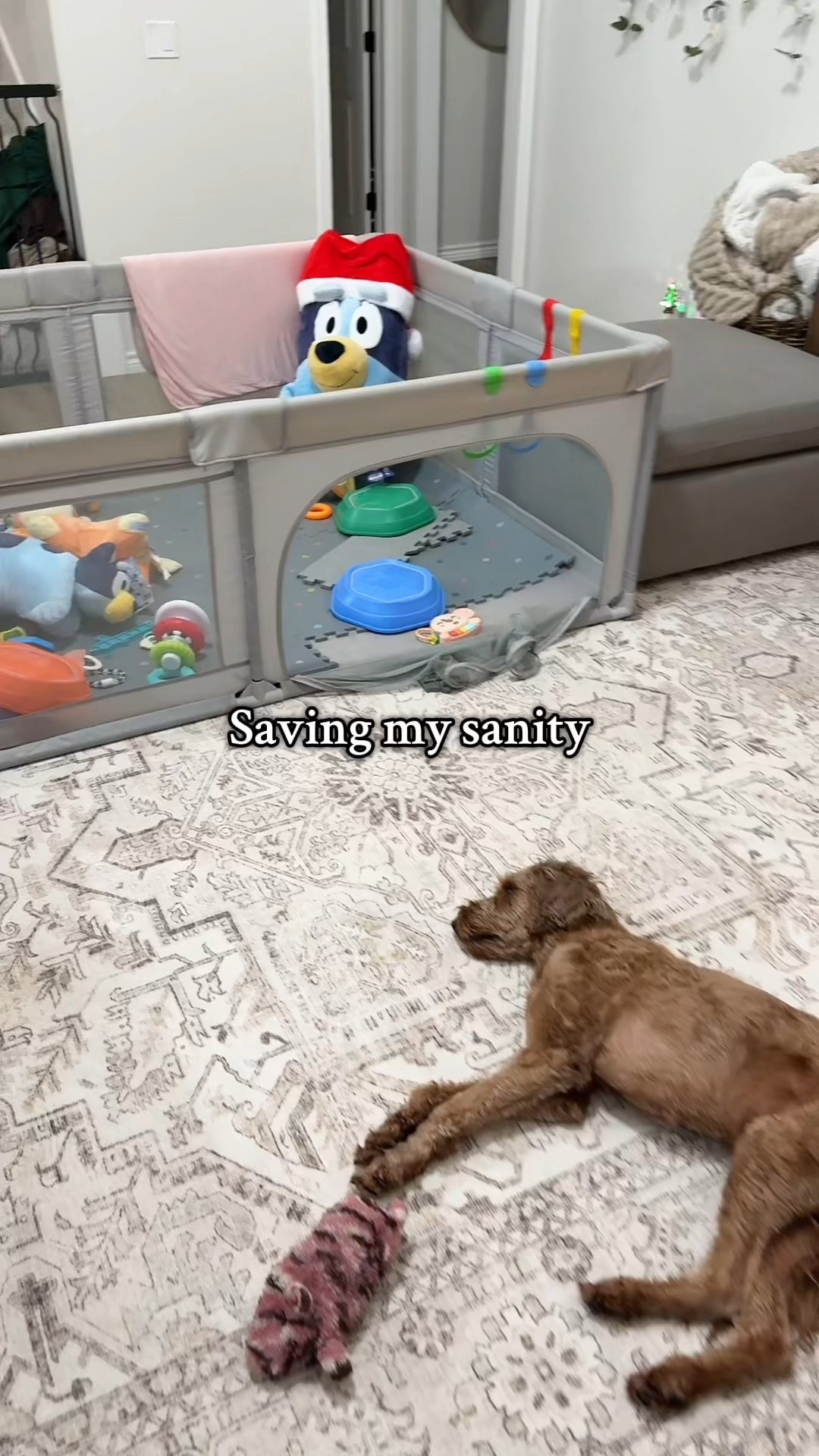 Baby playpen

#LTKBaby #LTKHome #LTKBump