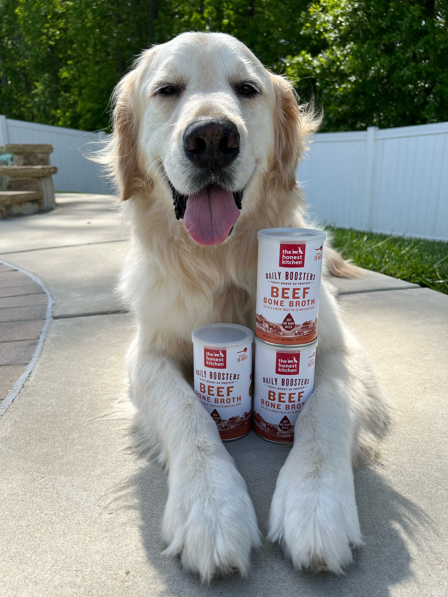 Want to keep your dog hydrated with a flavor they’ll love? Look no further than Honest Kitchen’s bone broth. Great for hydrating, adding supplements, freezing in toppls/kongs, and creating treats for the hot summer days! #LTKpets #LTKdogs