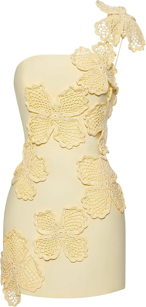 JW PEI Women's Crochet Floral Appliqu\u00e9 Mini Dress | Amazon (US)