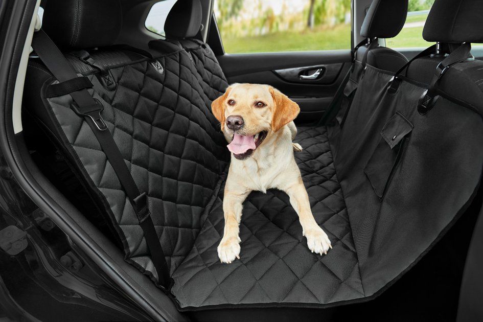Frisco Quilted Water Resistant Hammock Car Seat Cover | Chewy.com