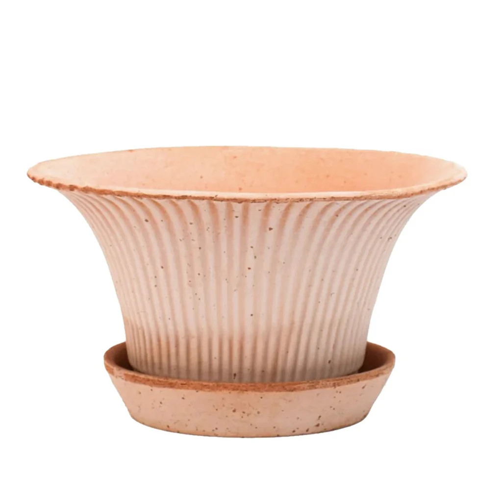 Daisy Pot & Saucer | Monika Hibbs Home