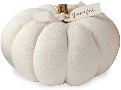 Mud Pie Cream MED Cotton Pumpkin | Amazon (US)