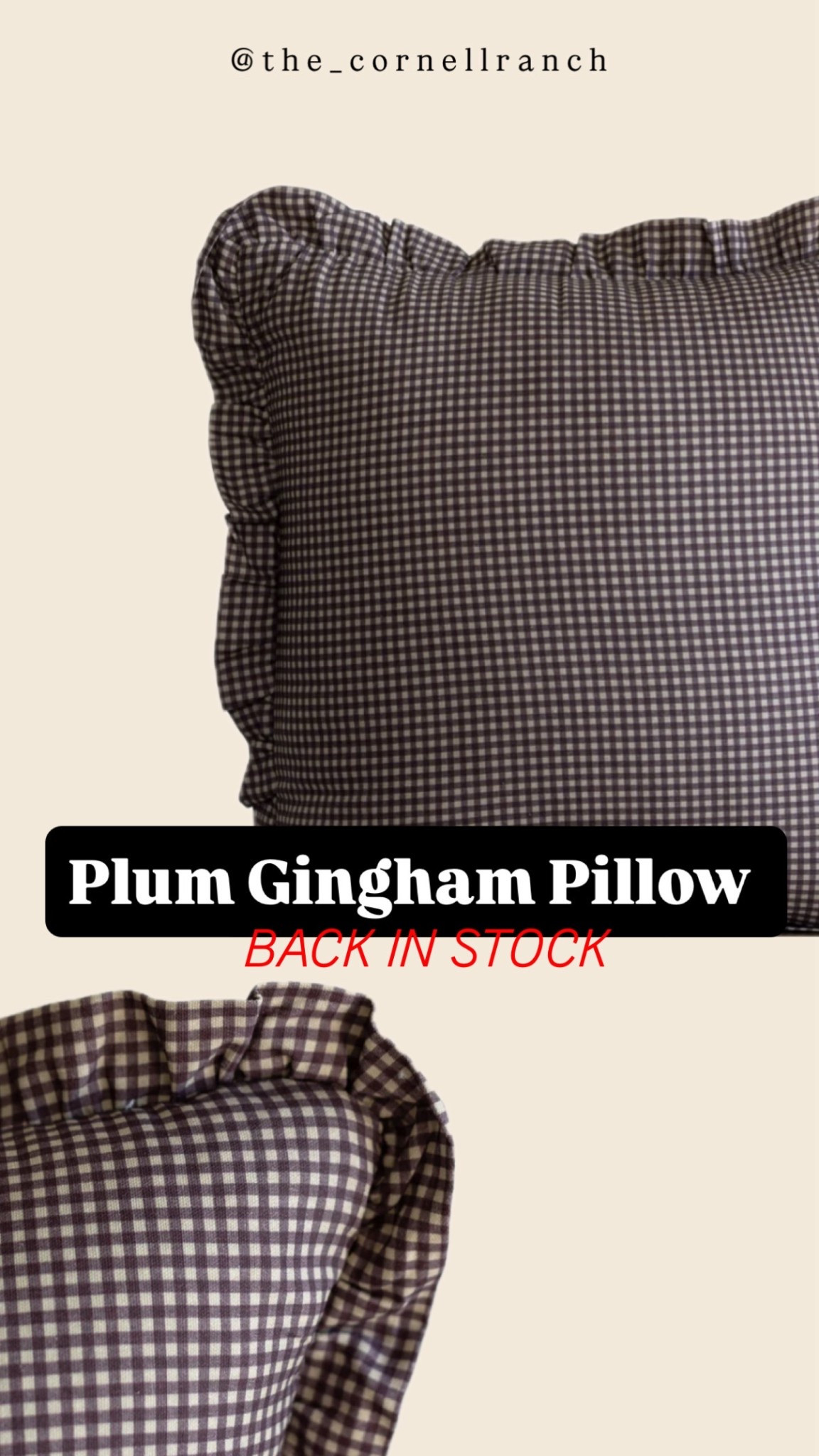 Gingham pillow back in stock

#LTKHome #LTKSeasonal #LTKHoliday