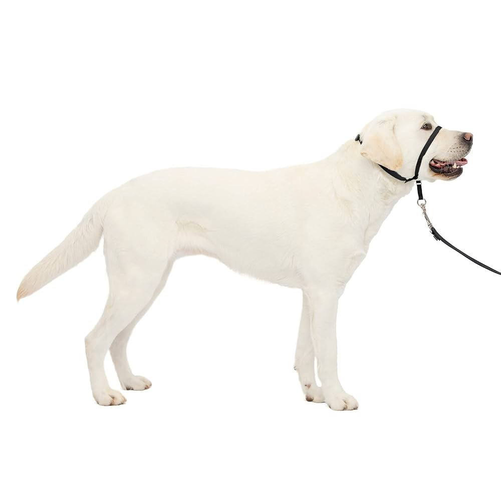 PetSafe Gentle Leader No-Pull Head Collar for Dogs, Dog Head Collar - The Ultimate Solution to Pu... | Amazon (US)