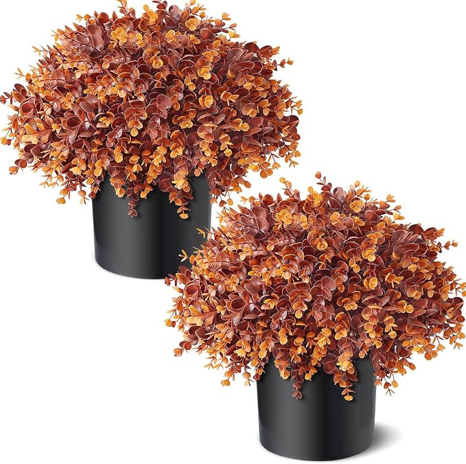 2Pcs Lifelike Touch Fake Eucalyptus Topiary Trees for Porch(Dark Orange) | Amazon (US)