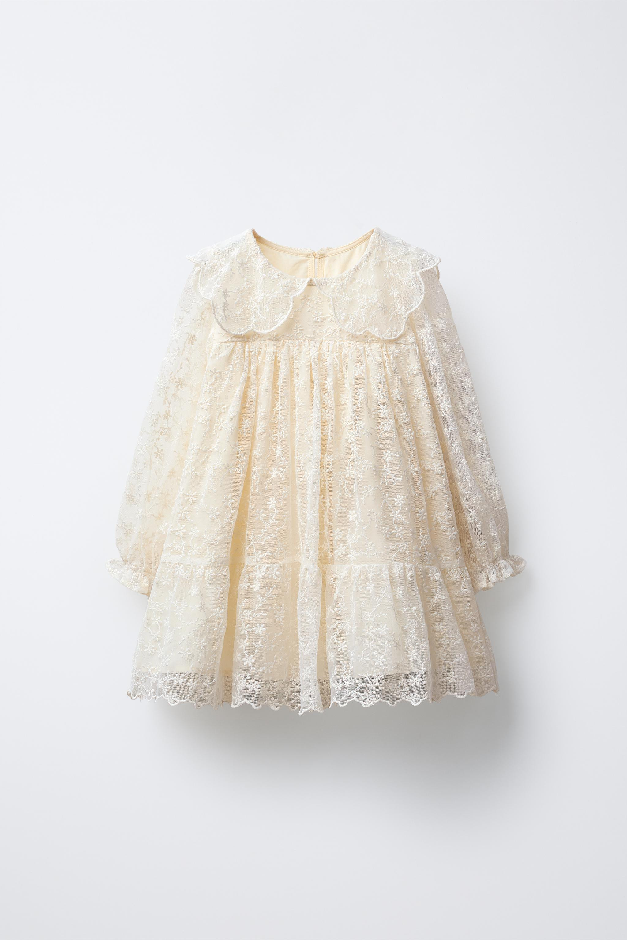 EMBROIDERED TULLE DRESS | Zara US