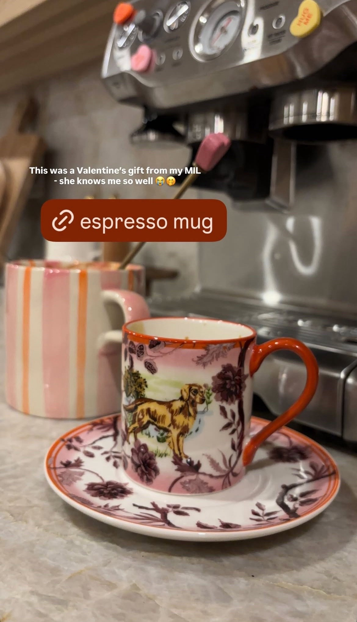 The sweetest gift for Valentine’s from my MIL! 💕☕️

#LTKdayinmylife #LTKValentine #LTKHome