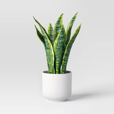 Snake Artificial Potted Plant - Room Essentials™ | Target