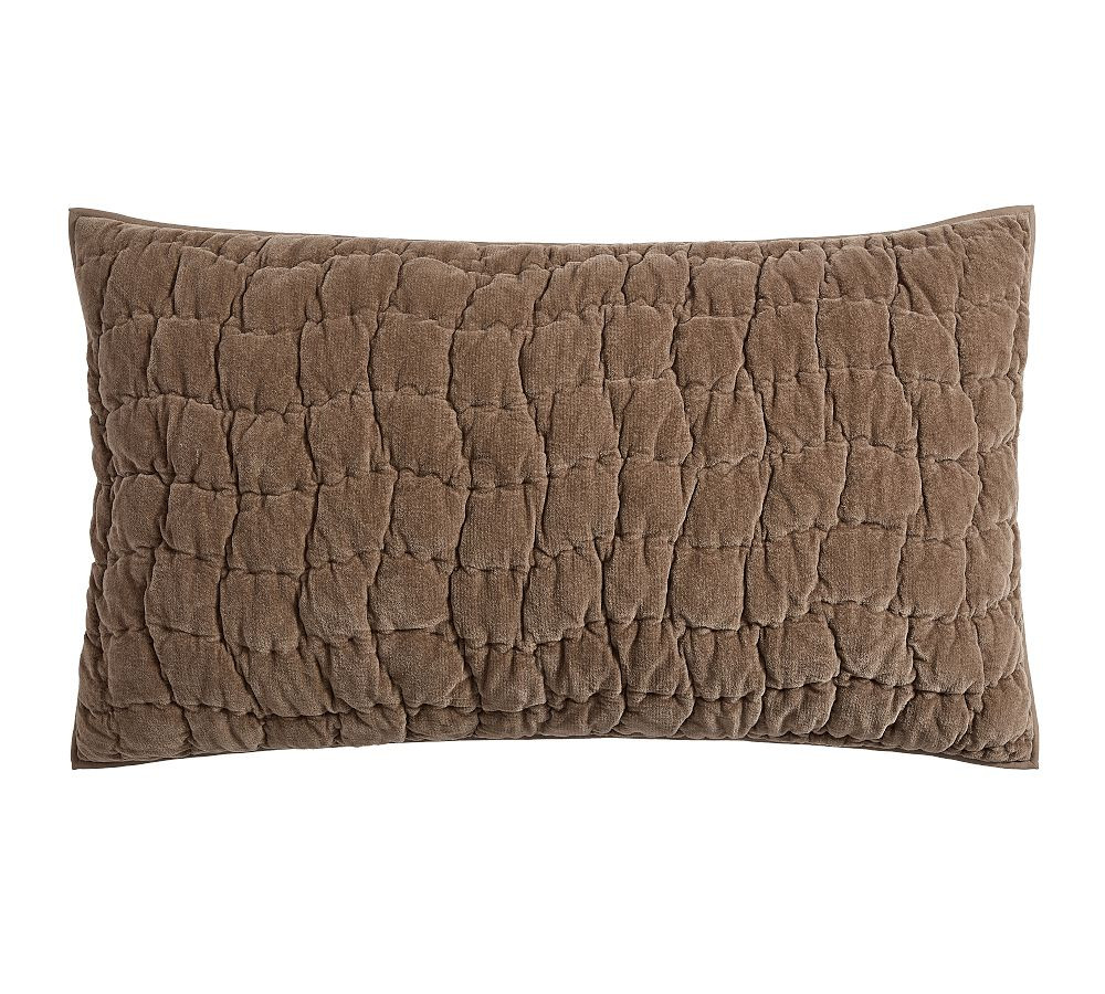 Cozy Cloud Quilted Sham | Pottery Barn (US)