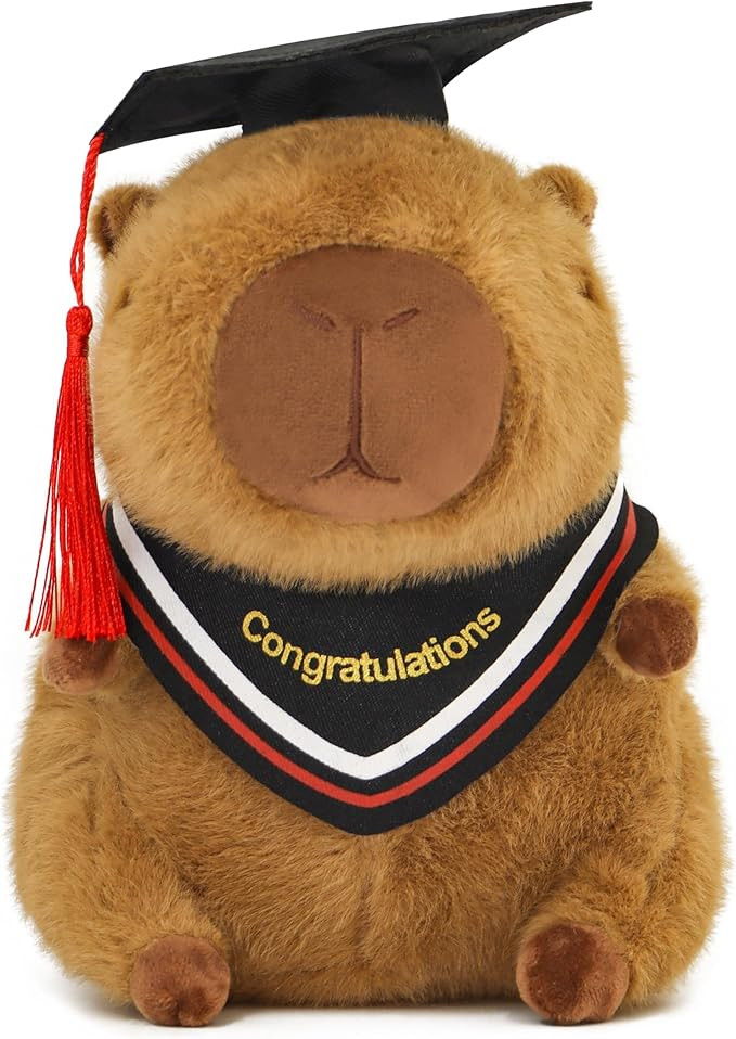 Graduation Kapibara Plush Toy 7.8 Inch with PhD Hat Cap - Perfect Graduation Gift for Season, Par... | Amazon (US)