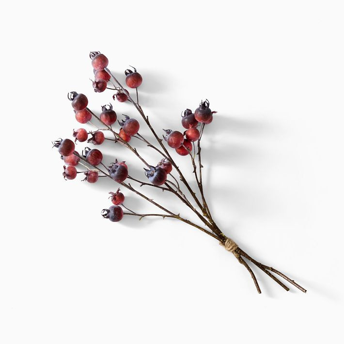 Faux Rosehip Branch Bundle | West Elm (US)