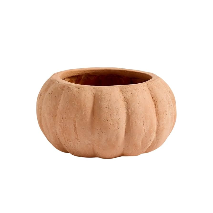 7 inch Pumpkin Planter Halloween Indoor and Outdoor Small Pumpkin Planter Resin Pot,Halloween Dec... | Amazon (US)
