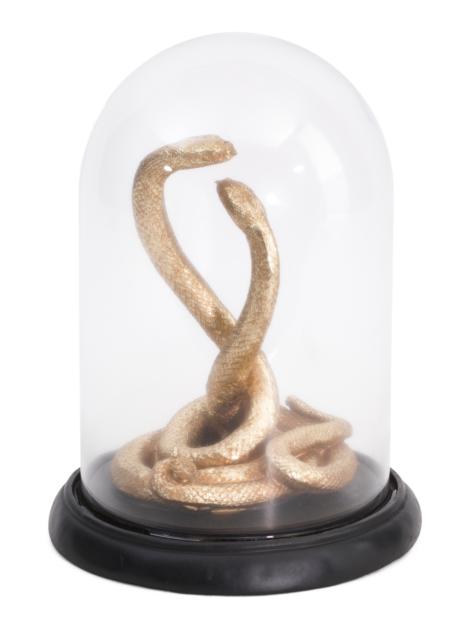 13in Snake In Cloche | TJ Maxx