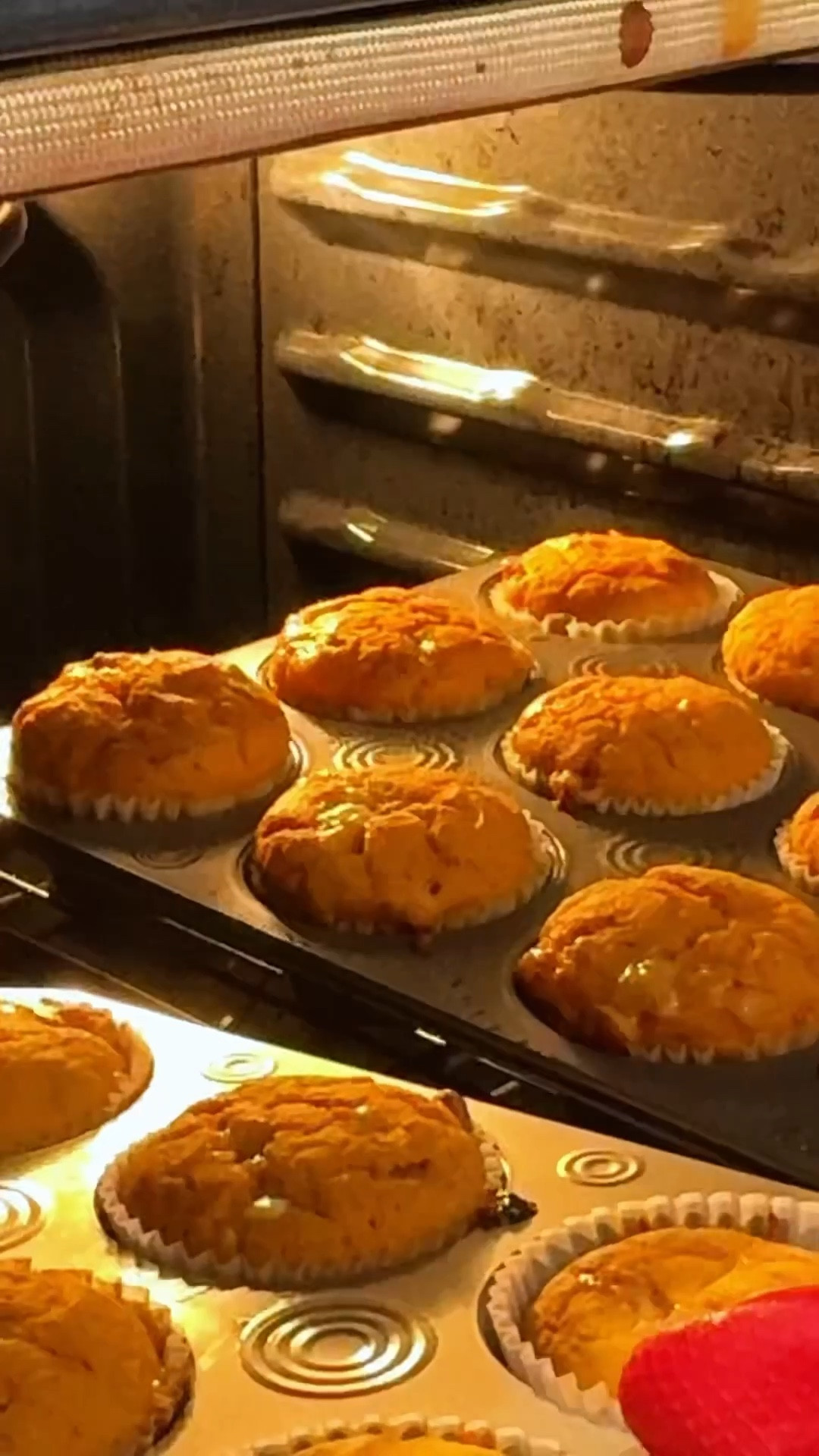 Pumpkin Protein Muffins 🎃💪 So good!! (Not my recipe — wish I knew the original creator 🧡)

106 cals | 5.6g P | 15.5g C | 2.6g F per muffin
Recipe: 2 cups Kodiak cake mix 1 cup almond milk (or regular) 2.5 cups pumpkin purée 1/2 cup maple syrup (or sugar-free syrup) Cinnamon (to taste) Splash of vanilla 2 eggs Optional: 1 cup chocolate chips or white chocolate (for my non-caffeine people 🤍)
Bake at 350°F for 20–30 mins in a sprayed muffin tin.

Hi, I’m JazzyMarieTV 💕 I love sharing my favorite finds and all things beauty, lifestyle, cleaning, funny moments, and whatever I’m feeling that day. I’d love to have you here—follow me and say hi! ✨


protein pumpkin muffins, healthy baking, fall recipes, easy muffins, breakfast ideas, protein snacks, cozy baking, pumpkin recipes, quick muffins, healthy fall treats
#LTKBaking #LTKRecipes #LTKFallRecipes #LTKCozyEats

#LTKFindsUnder100 #LTKHoliday #LTKSeasonal