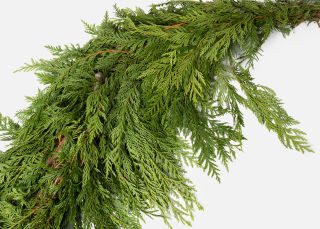 The Garland
                        
                        
                            
      ... | UrbanStems