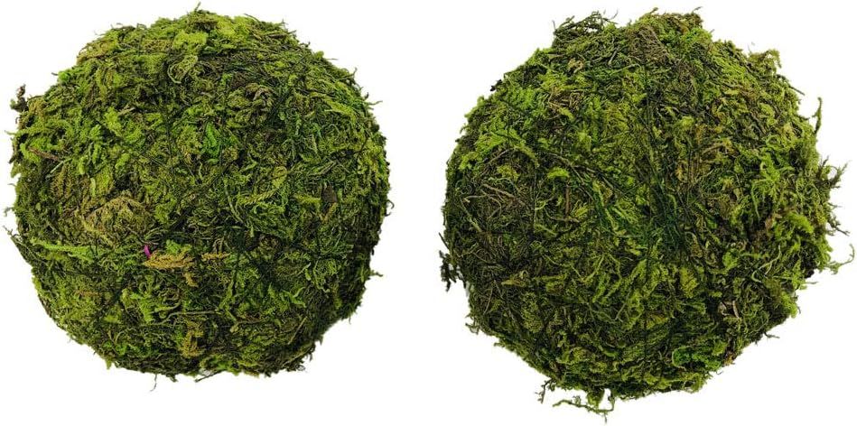 zorpia Handmade Natural Green Plant Moss Balls Decorative for Home Party Display Decor Props (6 i... | Amazon (US)