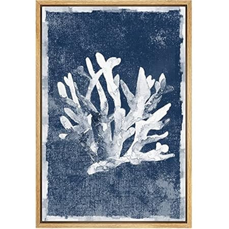 MUDECOR Framed Canvas Print Wall Art Faded White Underwater Coral Nature Wilderness Illustrations Mo | Amazon (US)