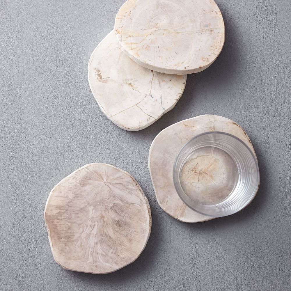 Petrified Wood Coasters (Set of 4) | West Elm (US)