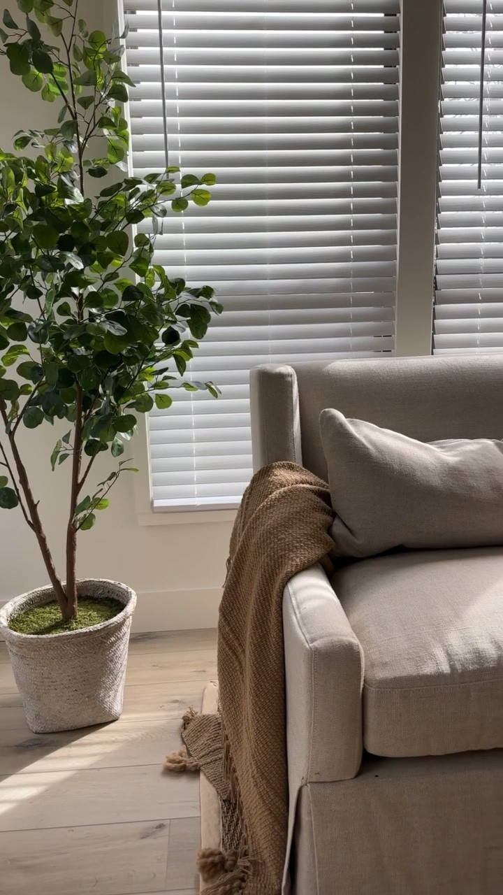Pro Tip: add a Studio McGee faux tree to your sun room for an immediate mood booster and to get your home ready for spring time 🌷

#LTKstyletip #LTKSpringSale #LTKhome