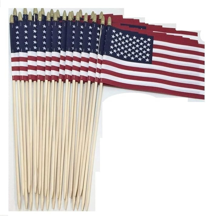 8x12 Inch (Pointed Bottom Dowel) US American Hand Held Stick Gravemarker Cemetery Flags WindStron... | Amazon (US)
