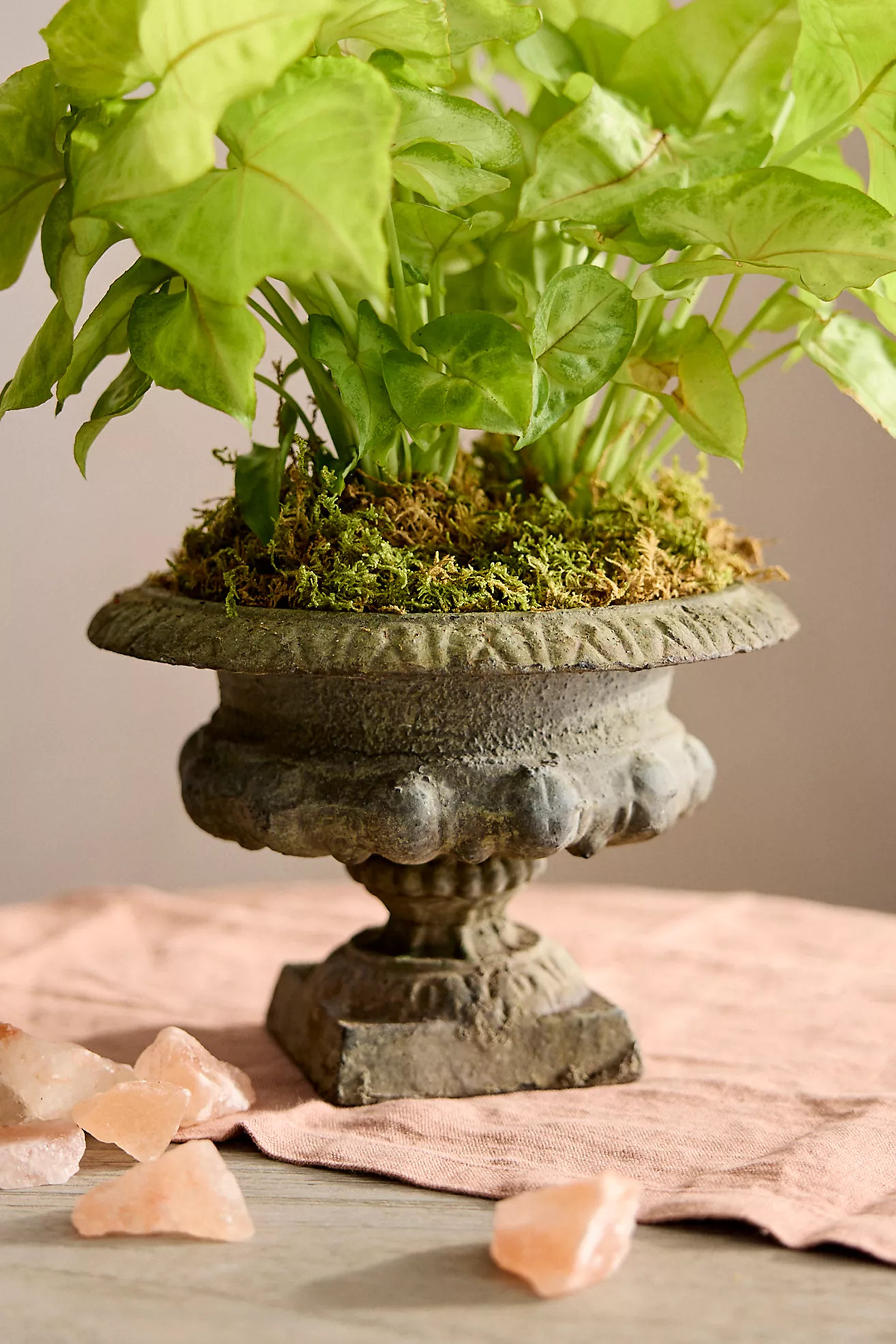 Mini Cast Iron Urn Planter | Terrain
