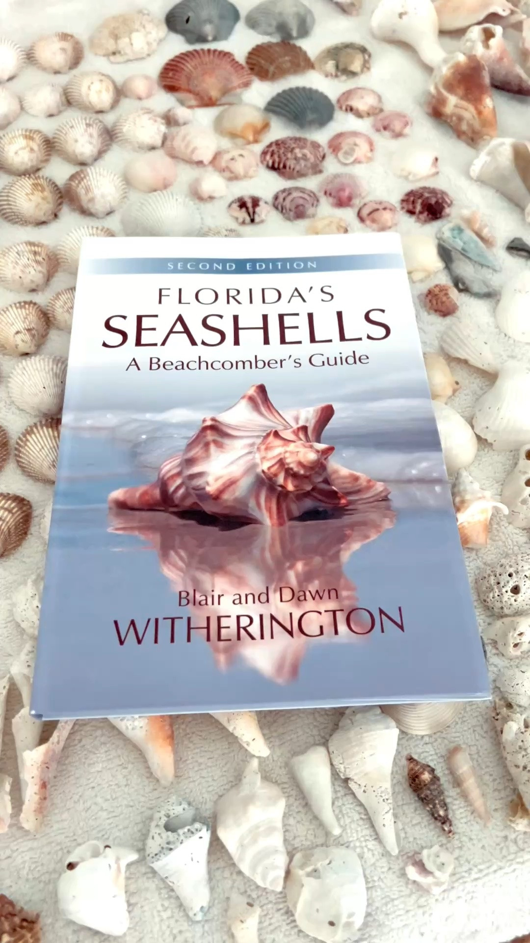 Trying to identify all of the shells 🐚 I found last weekend. Bought this seashell book and it’s AMAZING! Really is helping. It also tells you where you can find specific shells in Florida!

Also linking beach shelling must haves!

#LTKSeasonal #LTKOver40 #LTKSaleAlert #LTKMothersDay #LTKTravel #LTKSwim #LTKdayinmylife #LTKvlog