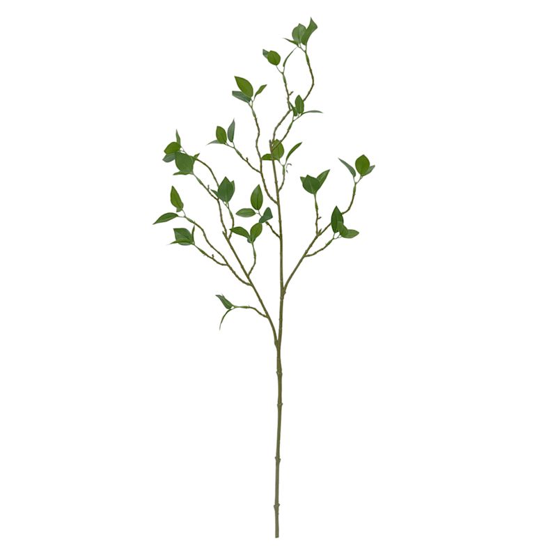 Watercress Leaves Stem, 30" | At Home