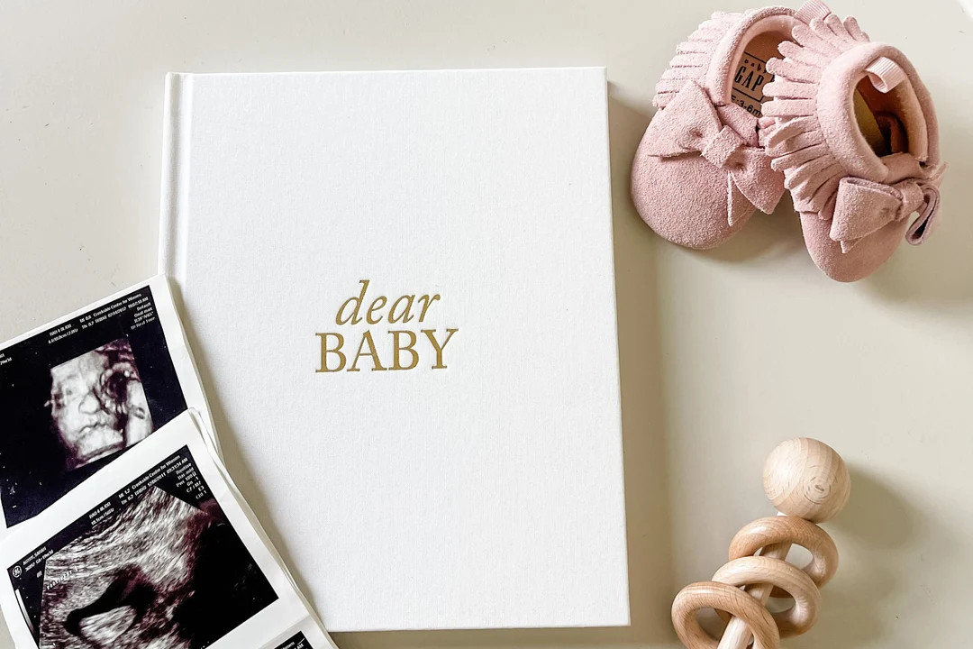 Pregnancy Journal: Baby Memory Book, Expecting Mom Gift, Pregnancy Prayer Journal, Pregnancy Anno... | Etsy (US)