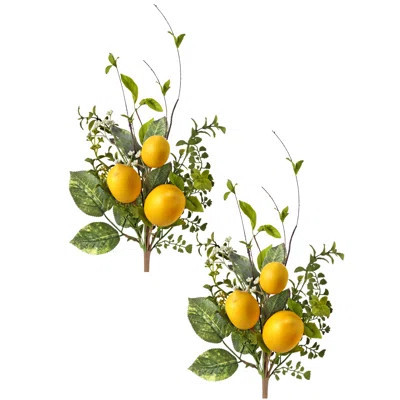Lemon And Leaf Pick 22 | Wayfair North America