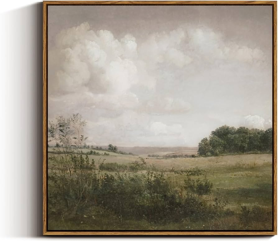 VIYYIEA Vintage Square Framed Wall Art, Nature Wilderness Scenery Paintings Aesthetic, 24x24 Inch... | Amazon (US)