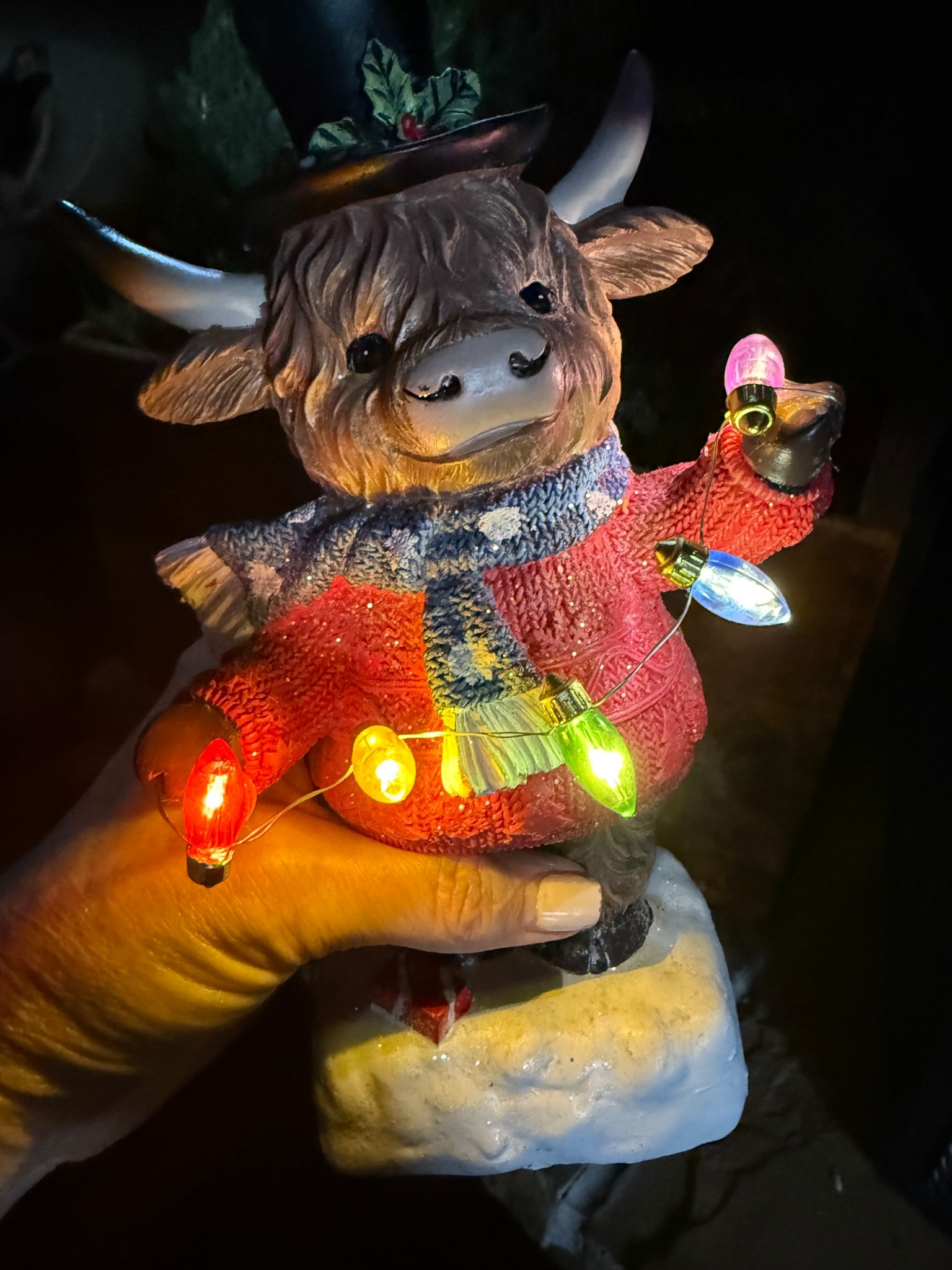 I just picked up my little light up Highland cow and I love him so much 💕 …. He’s sold out in stores, but was just restocked online, so don’t wait on this one.!! Added bonus… he’s on sale! #highland #Christmas #countryChristmas 

#LTKSaleAlert #LTKHome #LTKSeasonal