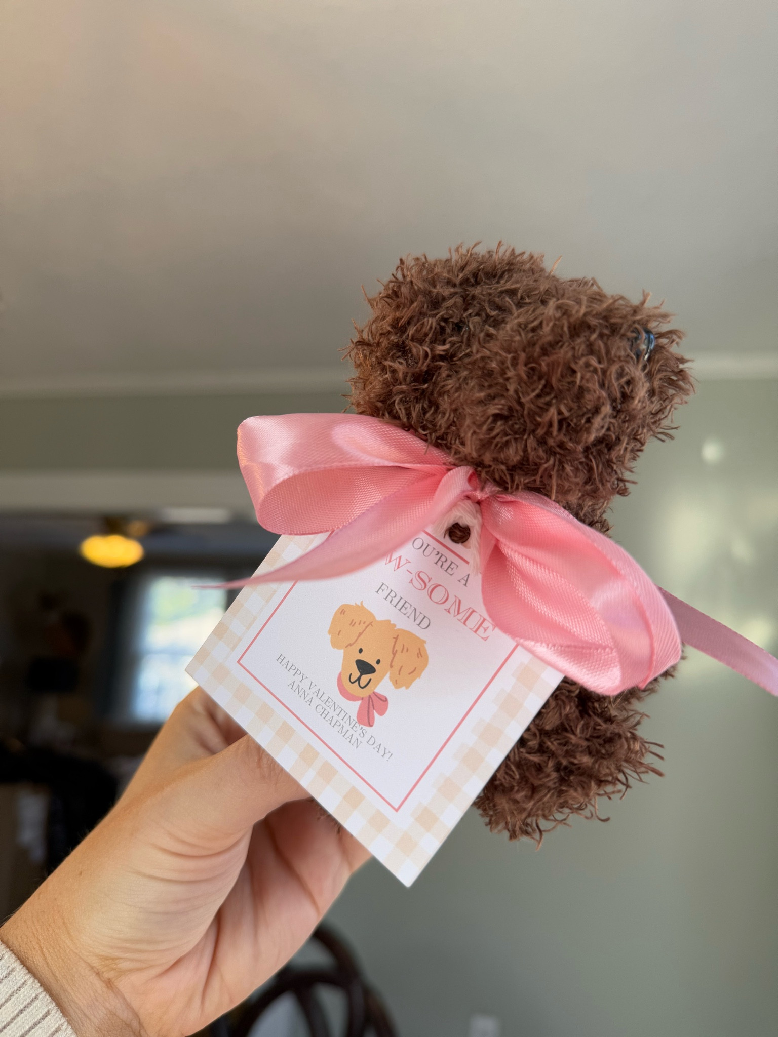 Class Valentine Gift Idea | Custom tags from Caroline Gaddis Designs 

#LTKKids #LTKGiftGuide #LTKSeasonal