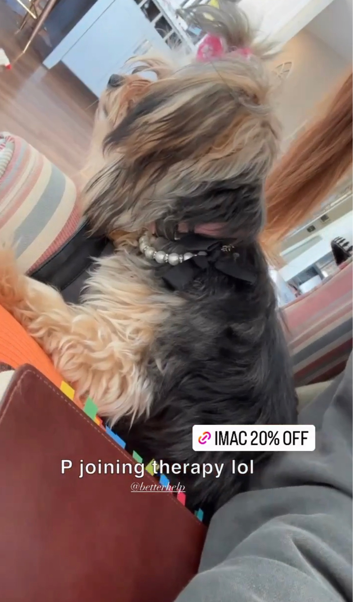 Pink iMac, iMac, cell computer, cell therapy, essentials, notebook, Weatherbell notebook

#LTKunder100 #LTKsalealert #LTKworkwear