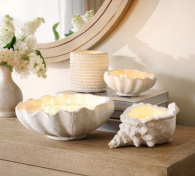 Artisan Studio Shell Candle Collection - White Fig | Pottery Barn (US)