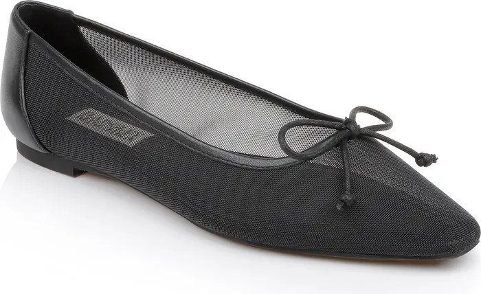 Cam Pointed Toe Ballet Flat (Women) | Nordstrom