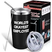 Inspirational Gift for Employee Staff, Worlds Okayest Employee, Encouragement Appreciation Gifts for | Amazon (US)