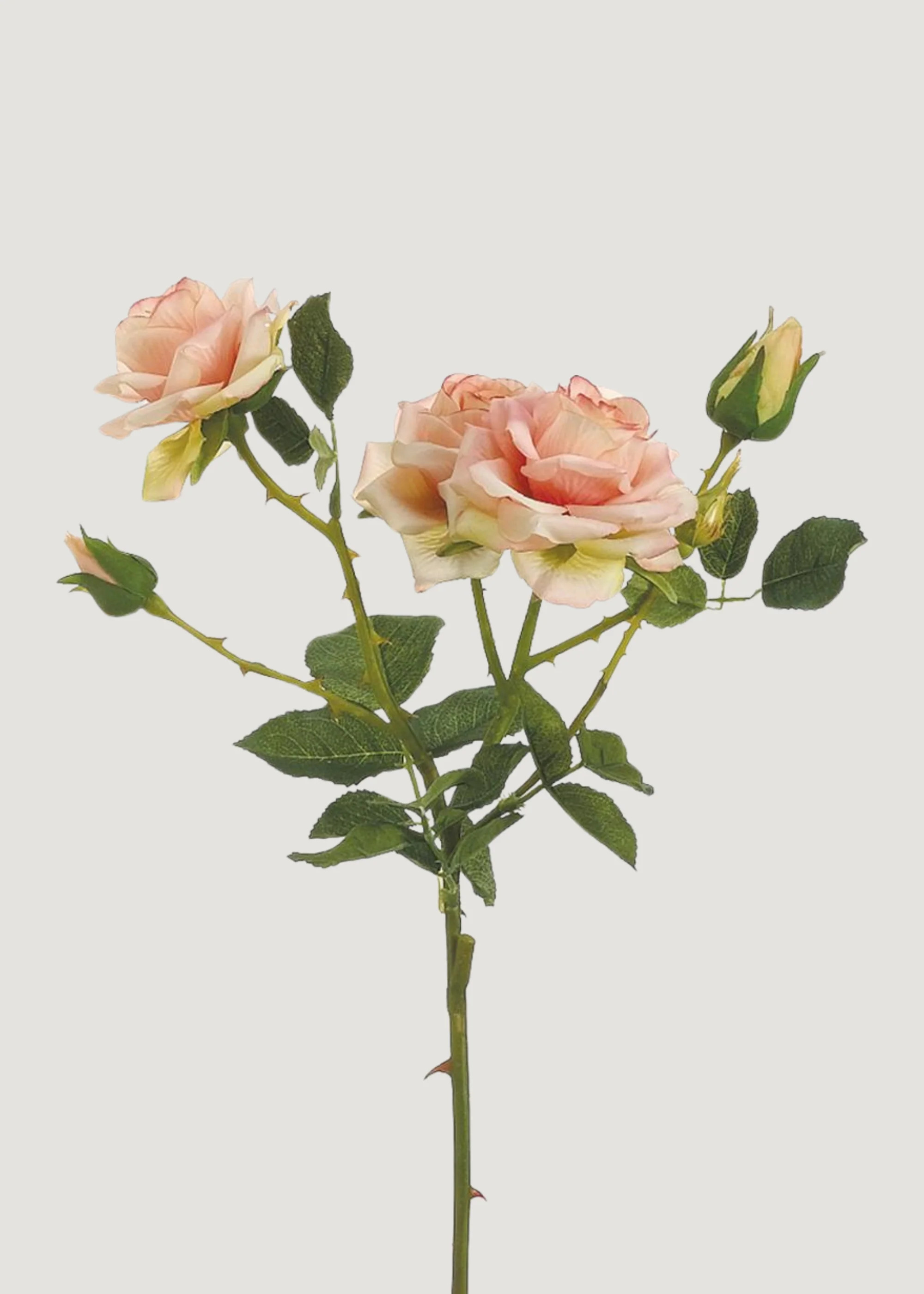 Salmon Pink Rose Stem | Realistic Artificial Flowers at Afloral | Afloral