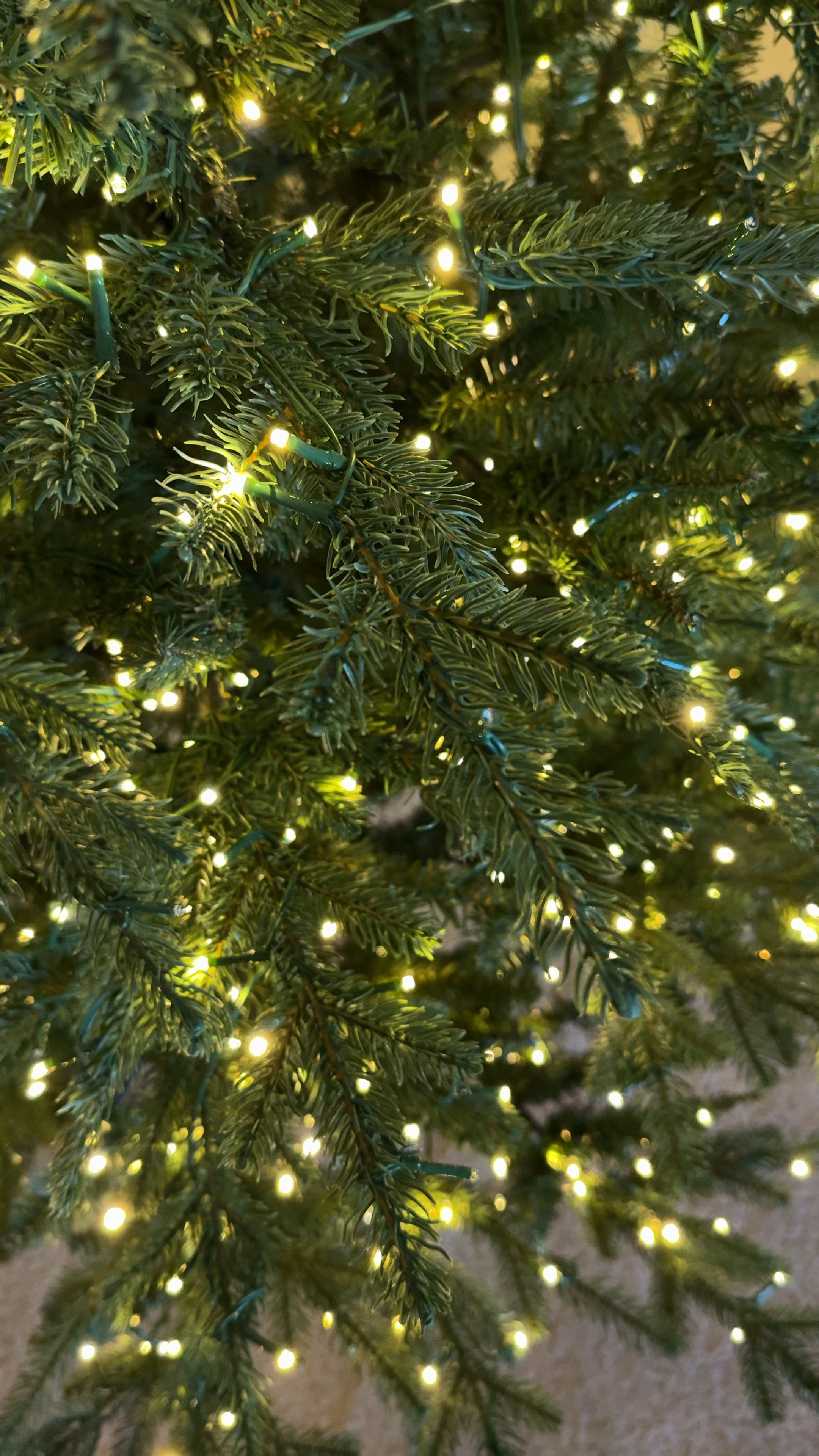 RESTOCK ALERT, Viral Christmas Tree is back in stock, but it’s going to sell out fast! Comes in 3 sizes; 7.5ft, 9ft, and 12ft!

#LTKSeasonal #LTKHoliday #LTKFamily